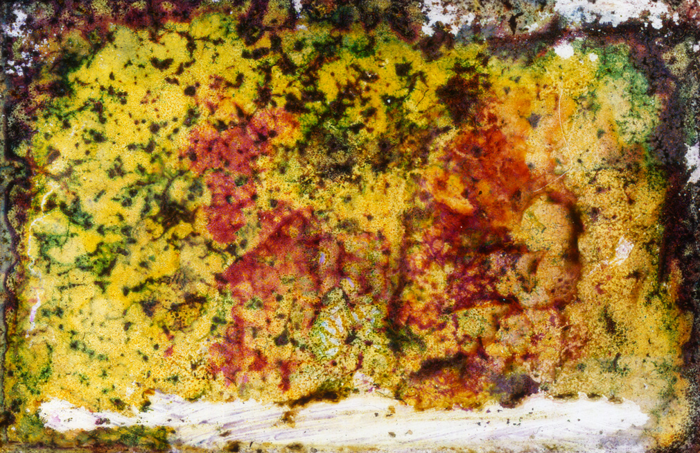 Slideshow Image 2