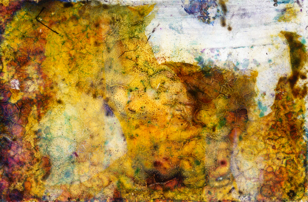 Slideshow Image 4