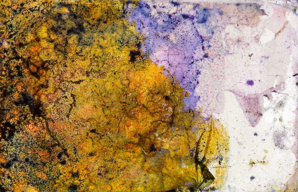 Slideshow Image 5