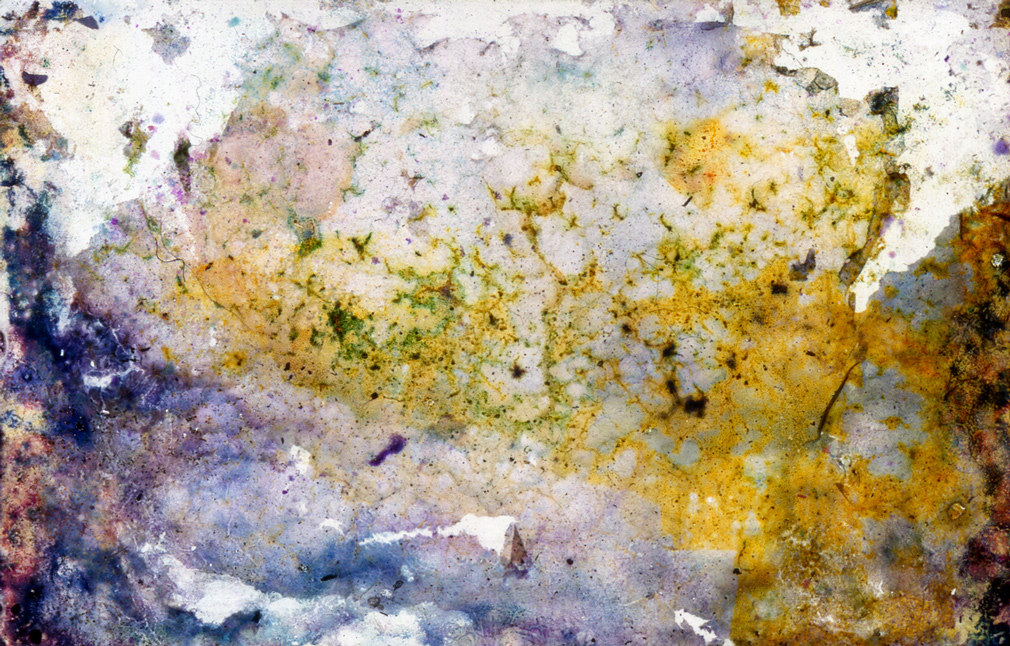 Slideshow Image 6