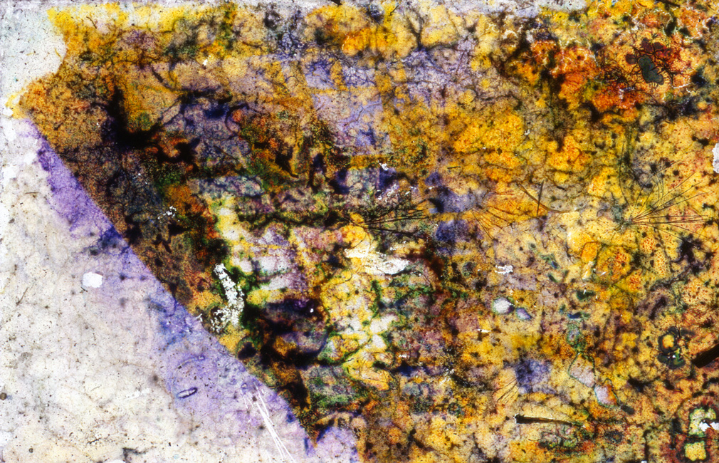Slideshow Image 7