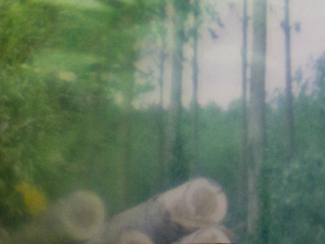 paysage chronique
