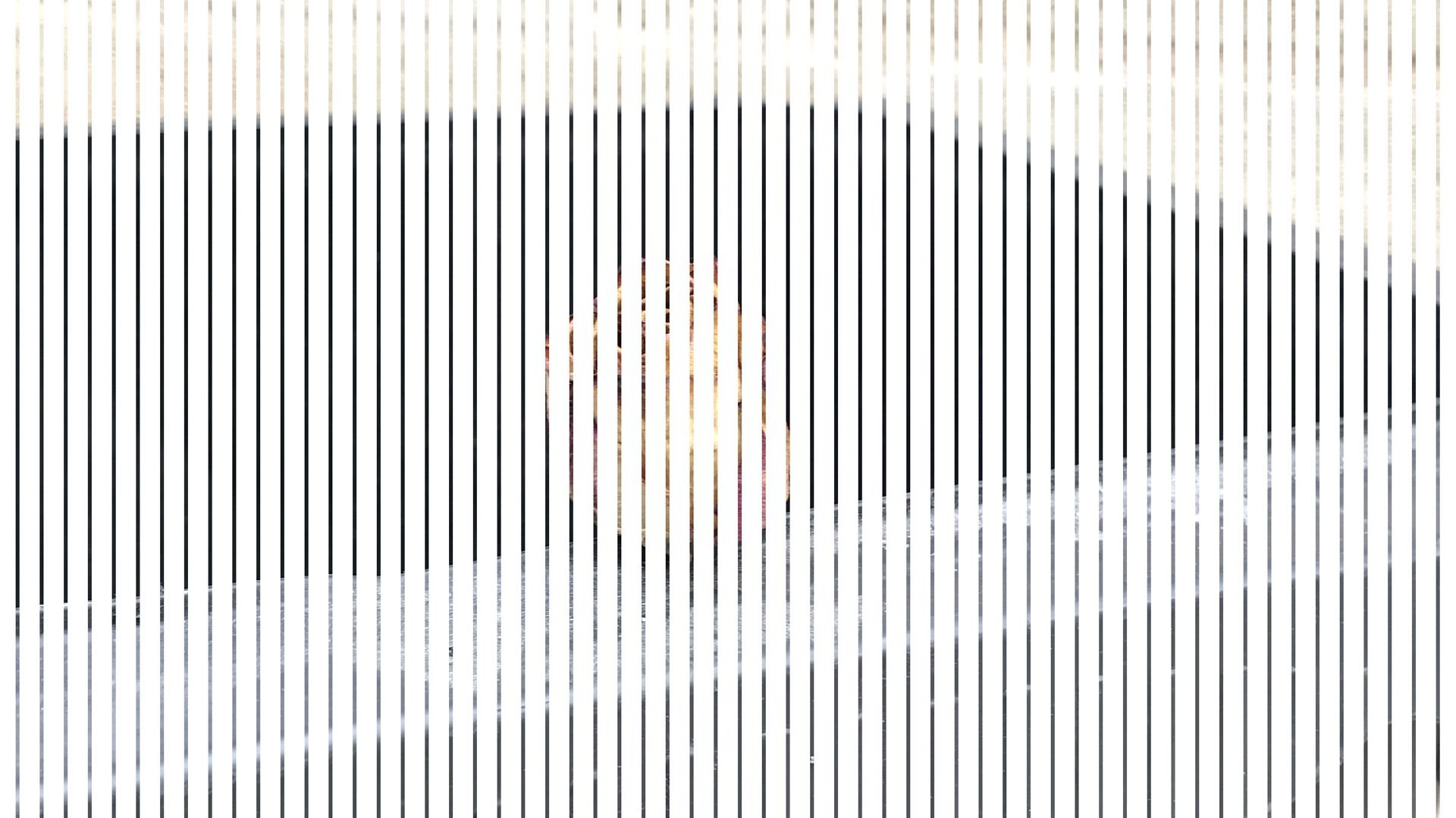Horizons temporaires - Guillaume Hillairet & Galerie Bolide
