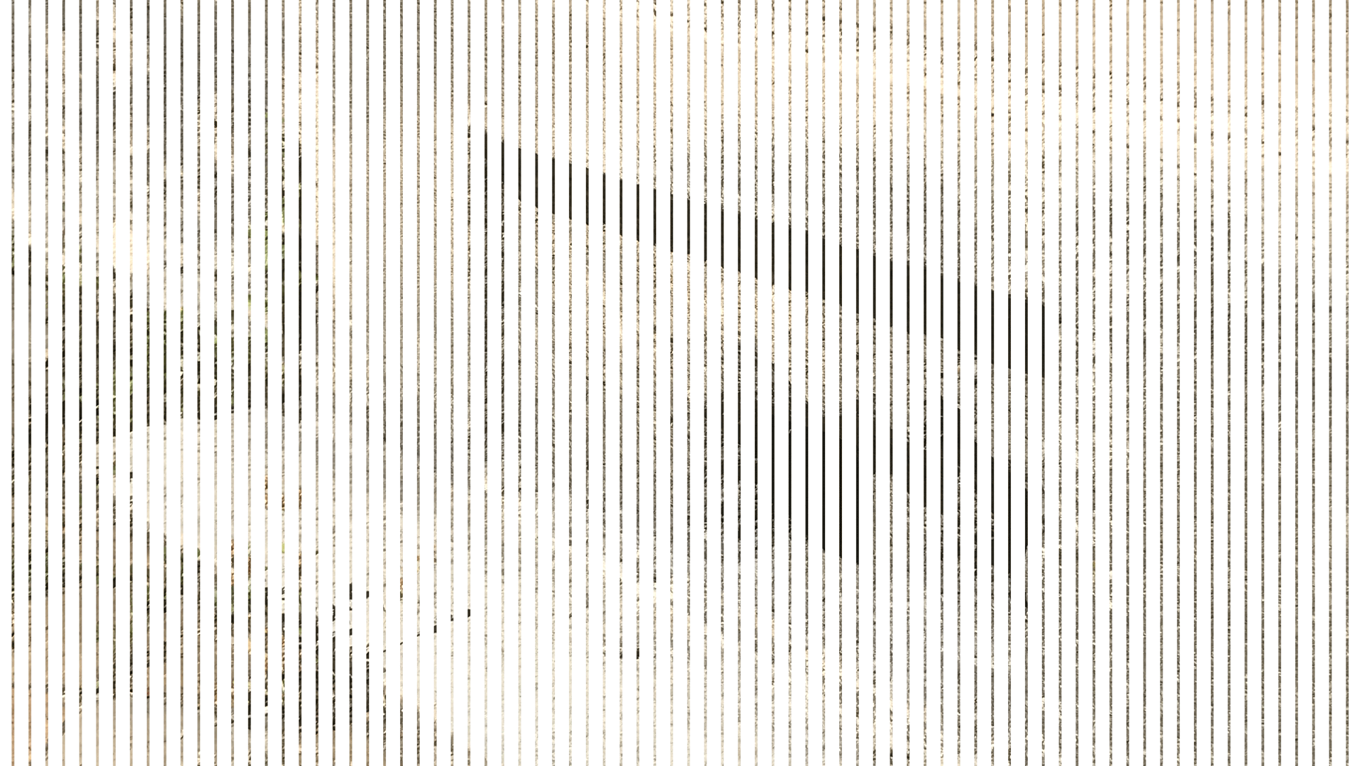 Horizons temporaires - Guillaume Hillairet & Galerie Bolide